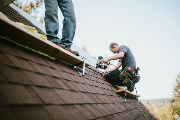 Best Roof Leak Repair  in Radford, VA